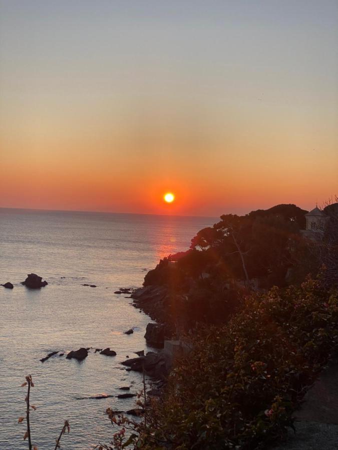 Bogliasco Wine Loft Daire Dış mekan fotoğraf